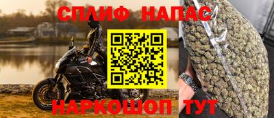 дживик Дубна
