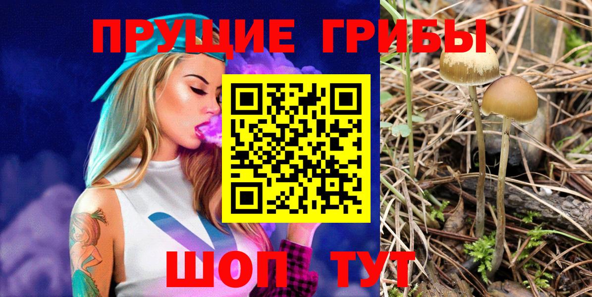 Галлюциногенные грибы GOLDEN TEACHER Норильск