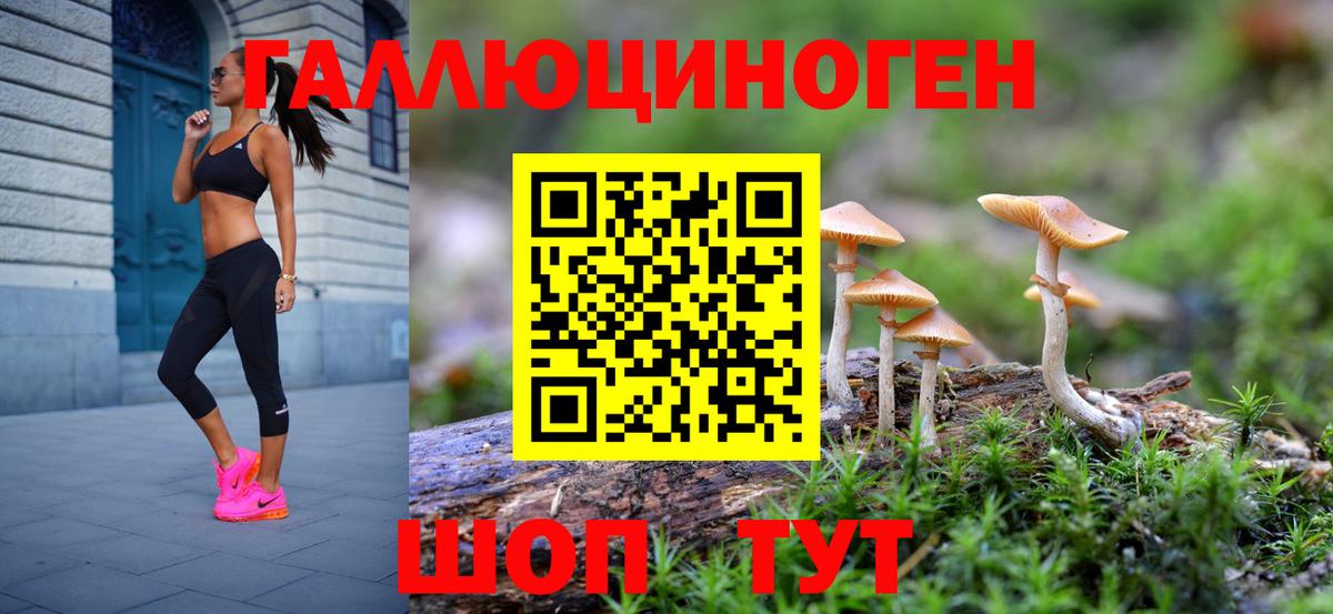 Галлюциногенные грибы MAGIC MUSHROOMS  Вход с VPN  Норильск 